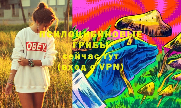 мескалин Ачинск