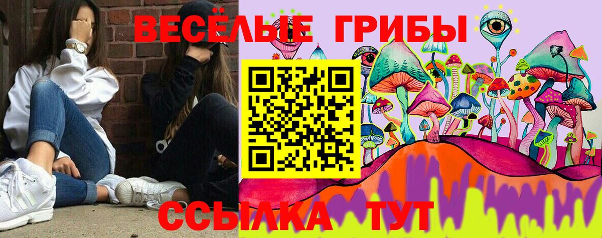 Псилоцибиновые грибы мицелий Коломна