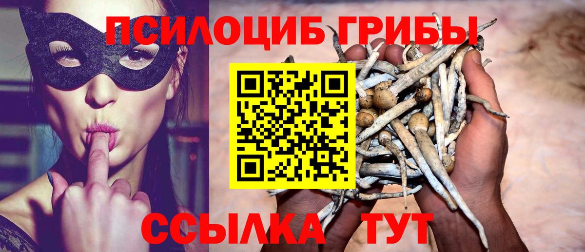 Псилоцибиновые грибы ЛСД  Вход с VPN  Коломна 